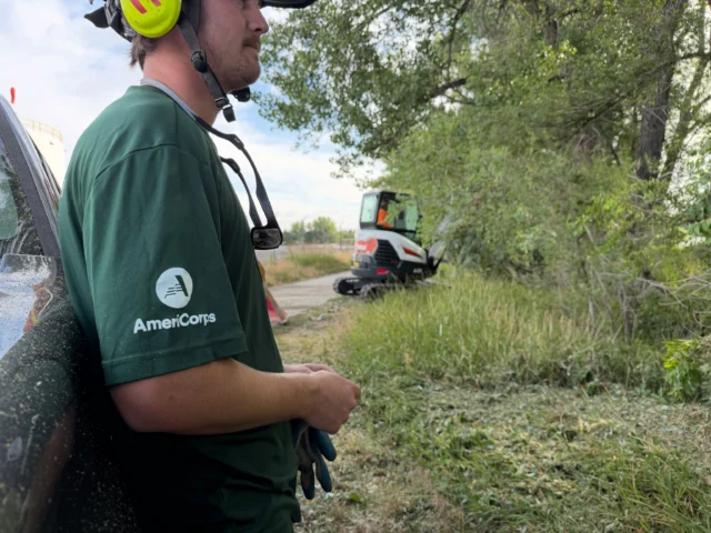 Montana Conservation Corps working for Billings PRPL are out removing invasive species with PRPL staff! 

Invasive Russian Olive trees in Coulson Park before!

AND AFTER! SEEEEEEEEEEEEE YA!
