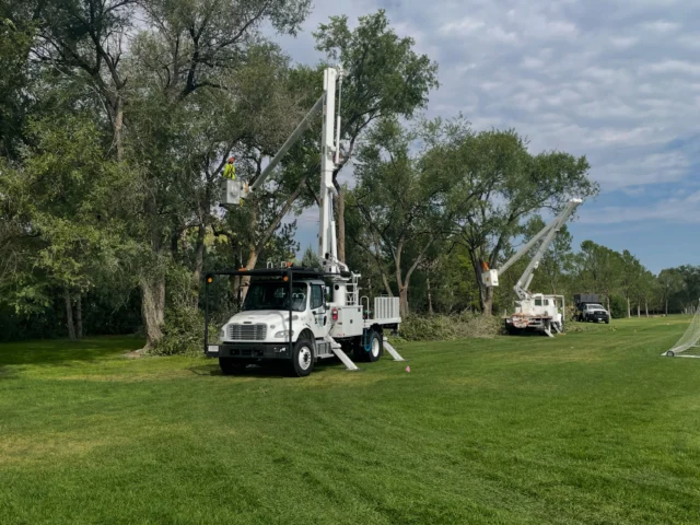 The Forestry & Natural Resources crew has been out raising spruce and give a much needed prune to some of our amazing trees!