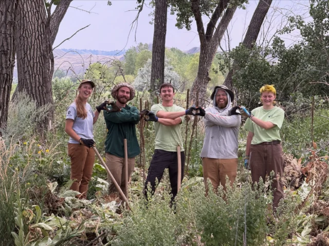 Bad time to be an invasive species! Nature Nick and the crew removed a whole bunch of mullein in Riverfront! 

BEFORE 

AFTER!

One more time! 

Making space for our native species to move back in!
