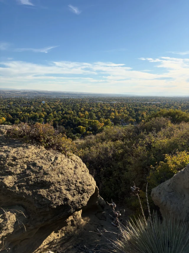 Have you been up to Swords Park or the Skyljne Trail yet to peep the fall color?! It’s looking good! #fallvibes #fallcolor 

And don’t forget to say HI to our reptilian friends as well! #sharethetrail